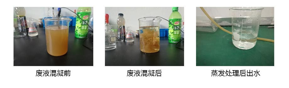 ����̎�� (2).jpg